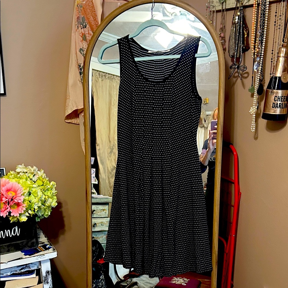 Max Studio Black and White Mini Dress